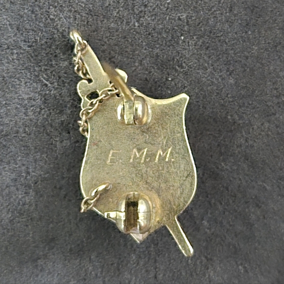 10k Gold Phi Delta Theta Fraternity Jeweled Member Pin - Picture 2 of 2